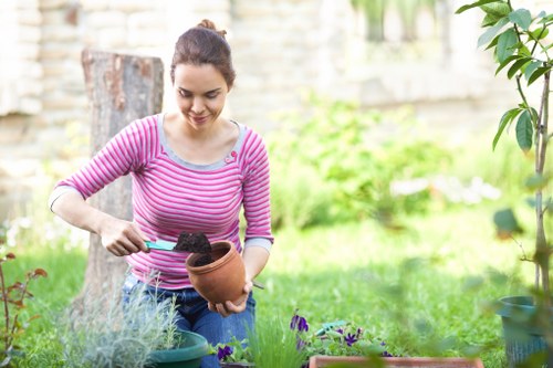 Eco-friendly garden maintenance with native plants and sustainable irrigation