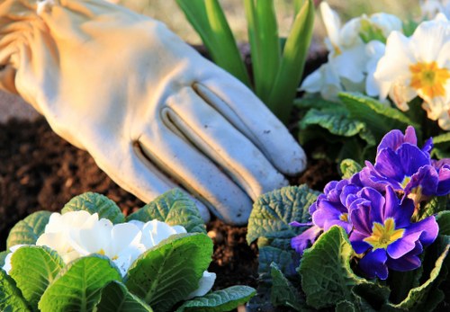 Team of gardening professionals working together in a lush garden