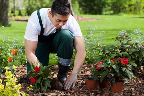 Eco-friendly xeriscape garden with drought-resistant plants