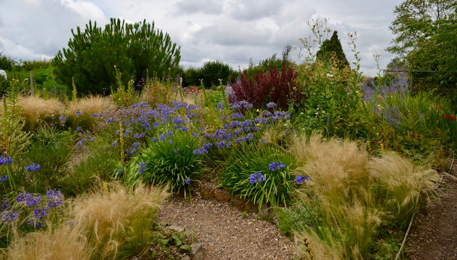 A lush garden scene featuring a variety of plants and flowers arranged in a low-maintenance planting scheme for UK gardens. In the foreground, ornamental grasses with feathery, beige plumes border a w