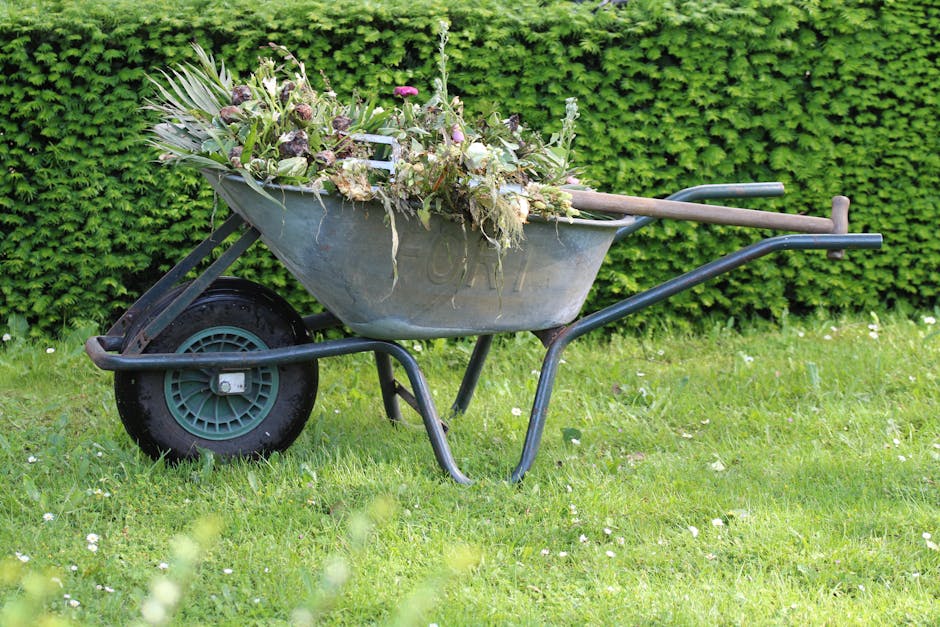 A lush garden scene featuring a variety of plants and flowers arranged in a low-maintenance planting scheme for UK gardens. In the foreground, ornamental grasses with feathery, beige plumes border a w