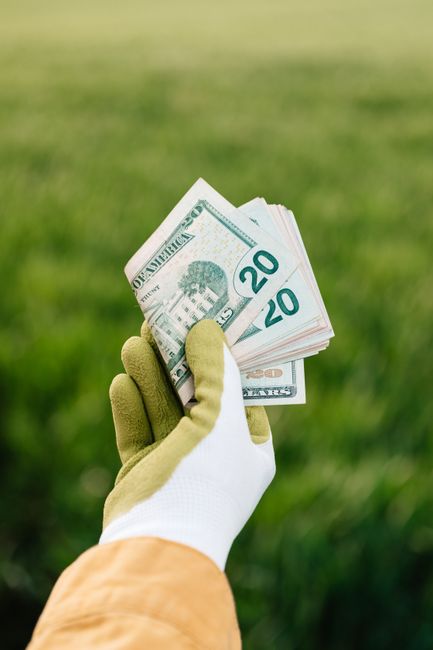 A gloved hand holding a fan of fresh twenty-dollar bills is visible against a blurred backdrop of a well-maintained garden. The garden features lush green grass with a neatly trimmed lawn, bordered by